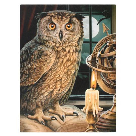 Small The Astrologer Owl Canvas